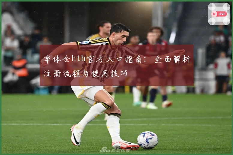 华体会hth官方入口指南：全面解析注册流程与使用技巧